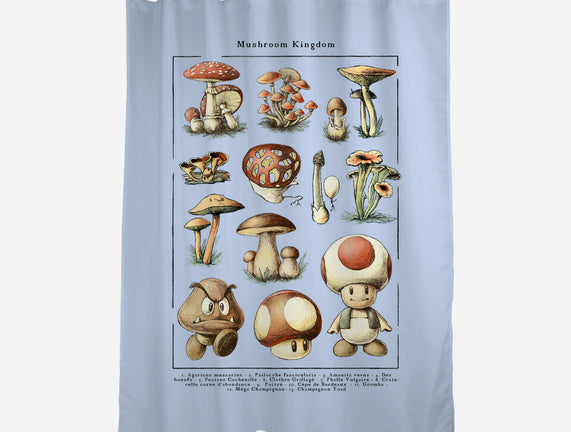The Mushroom Kingdom