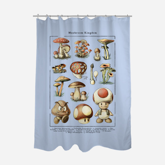 The Mushroom Kingdom-None-Polyester-Shower Curtain-BlancaVidal