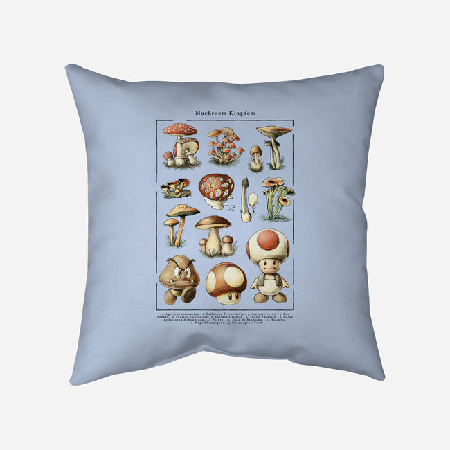 The Mushroom Kingdom-None-Removable Cover w Insert-Throw Pillow-BlancaVidal