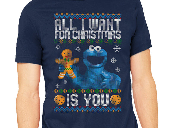 All I Want For Christmas Is You