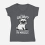 Grumpy Dog-Womens-V-Neck-Tee-NemiMakeit