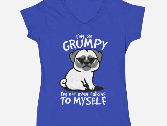 Grumpy Dog