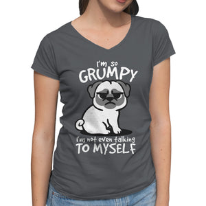 Grumpy Dog