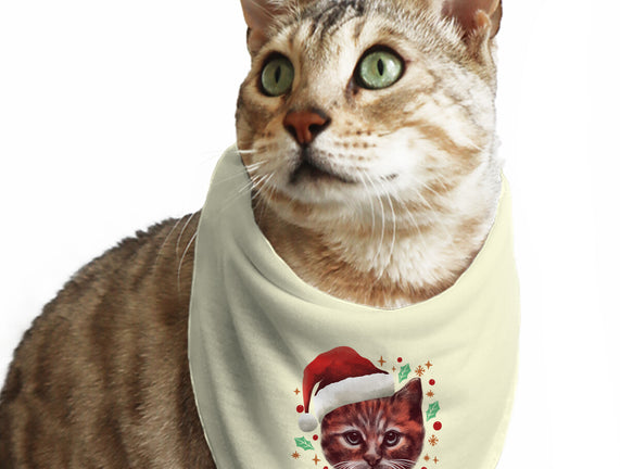 Wish You A Meowy Christmas