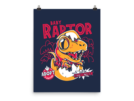 Baby Raptor