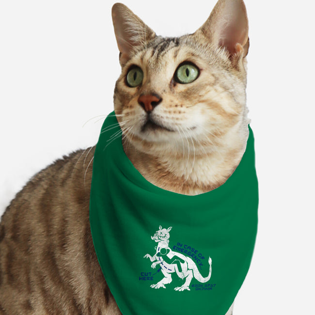 Icy Emergency-Cat-Bandana-Pet Collar-Wheels