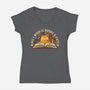 All I Need Is Books And Cats-Womens-V-Neck-Tee-erion_designs