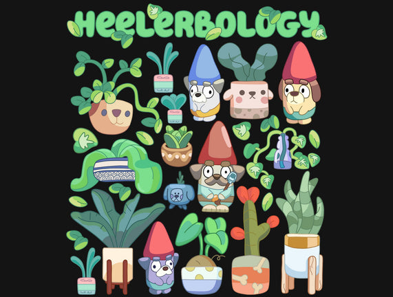 Heelerbology