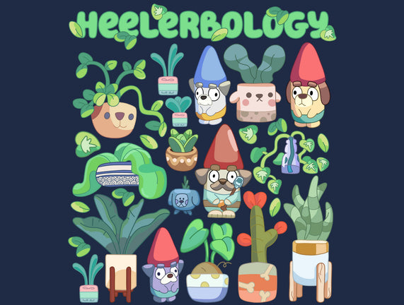 Heelerbology