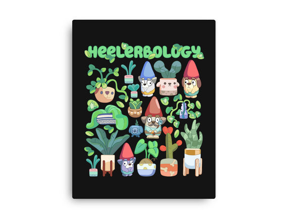 Heelerbology