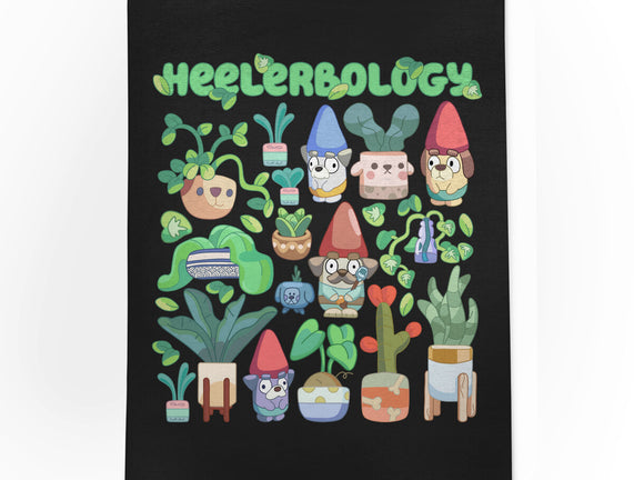 Heelerbology