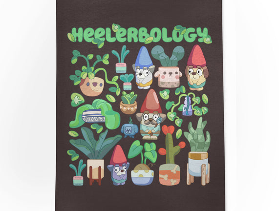 Heelerbology