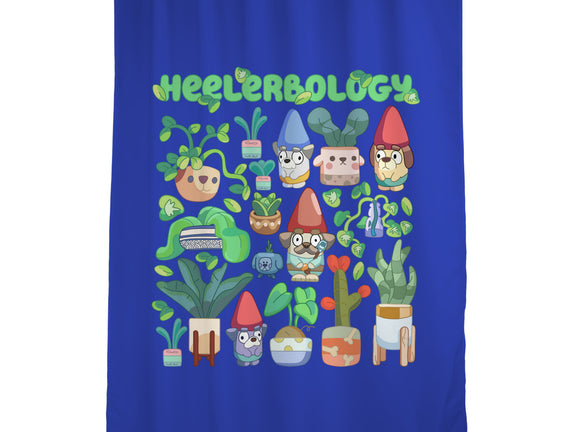 Heelerbology