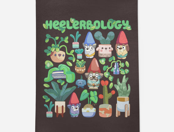 Heelerbology