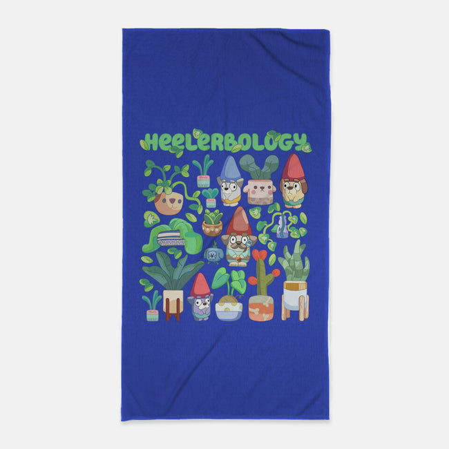 Heelerbology-None-Beach-Towel-Ashley