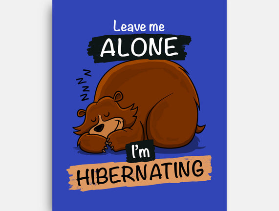 Leave Me Alone I'm Hibernating