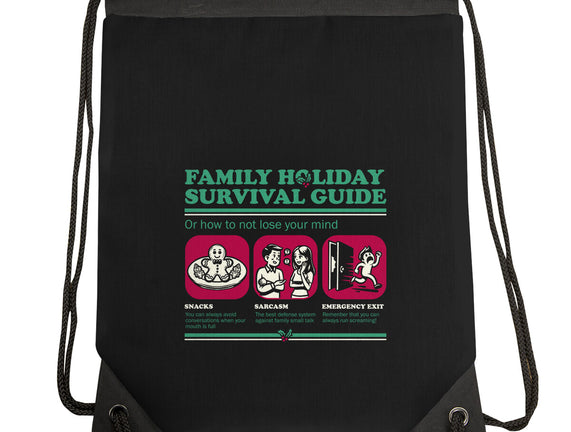 Family Holiday Survival Guide