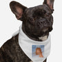 Taylor's Version-Dog-Bandana-Pet Collar-Vivian Valentin