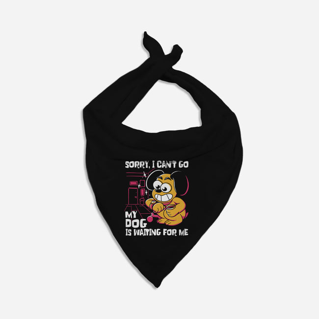 My Dog Is Waiting-Dog-Bandana-Pet Collar-estudiofitas