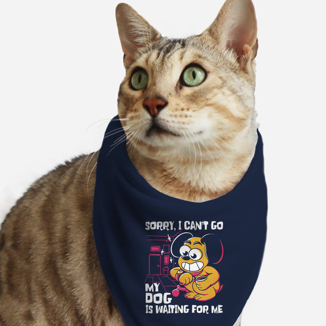 My Dog Is Waiting-Cat-Bandana-Pet Collar-estudiofitas