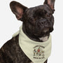 Safe For All Ages-Dog-Bandana-Pet Collar-kg07