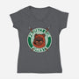 Protect Our Forests-Womens-V-Neck-Tee-Melonseta