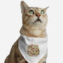 Harvest Meow-Cat-Adjustable-Pet Collar-ilustrata