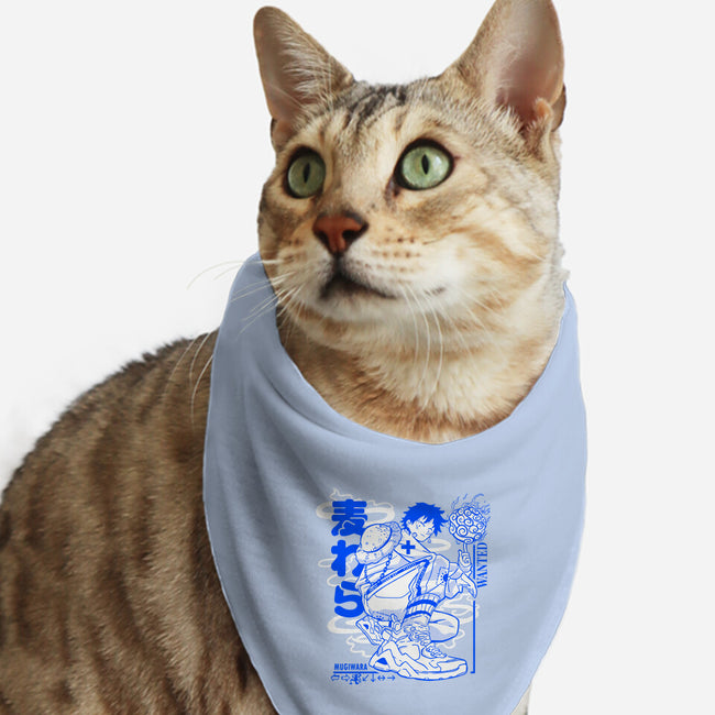 Pirate Punk-Cat-Bandana-Pet Collar-constantine2454