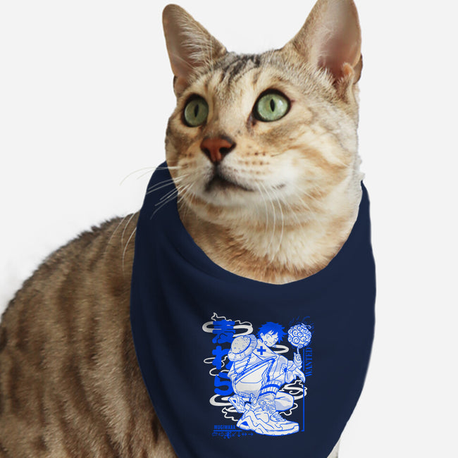 Pirate Punk-Cat-Bandana-Pet Collar-constantine2454