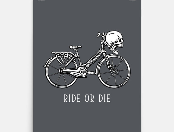 Bike Skeleton