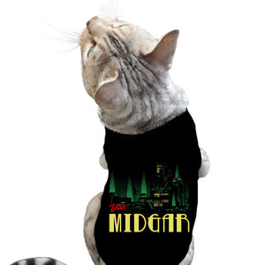 Visit Midgar