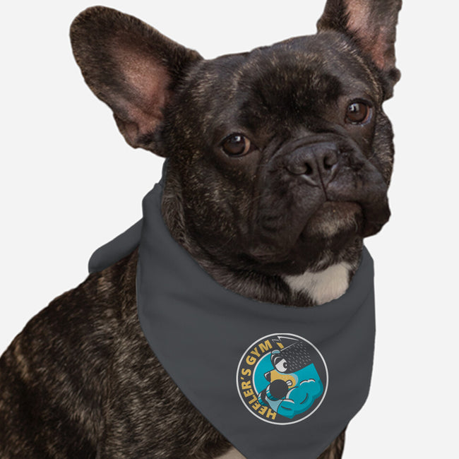 Heeler's Gym-Dog-Bandana-Pet Collar-retrodivision