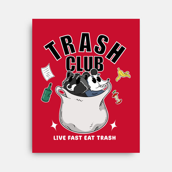 Trash Panda Club-None-Stretched-Canvas-Tri haryadi