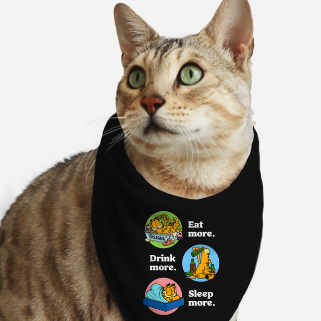 New Years Resolutions-Cat-Bandana-Pet Collar-drbutler