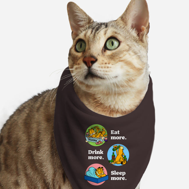 New Years Resolutions-Cat-Bandana-Pet Collar-drbutler