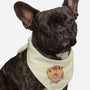 Couplebara-Dog-Bandana-Pet Collar-spoilerinc