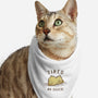 Tired As Duck-Cat-Bandana-Pet Collar-kg07