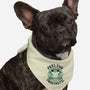 Feeling Frogtastic-Dog-Bandana-Pet Collar-fanfreak1