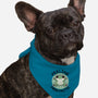 Feeling Frogtastic-Dog-Bandana-Pet Collar-fanfreak1