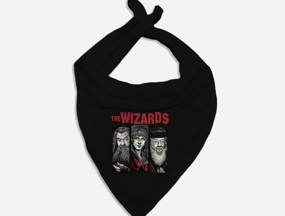 The Wizards