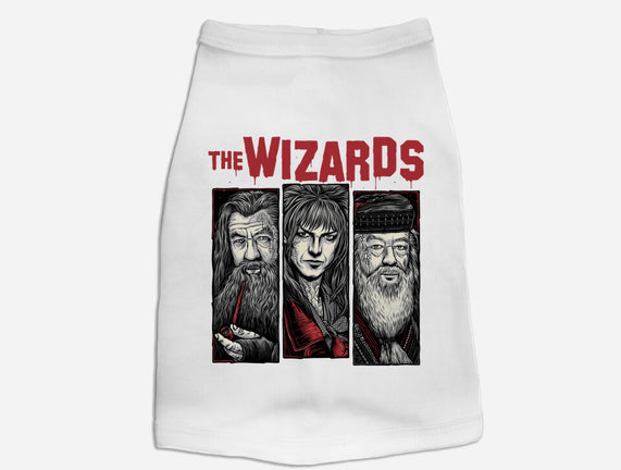 The Wizards