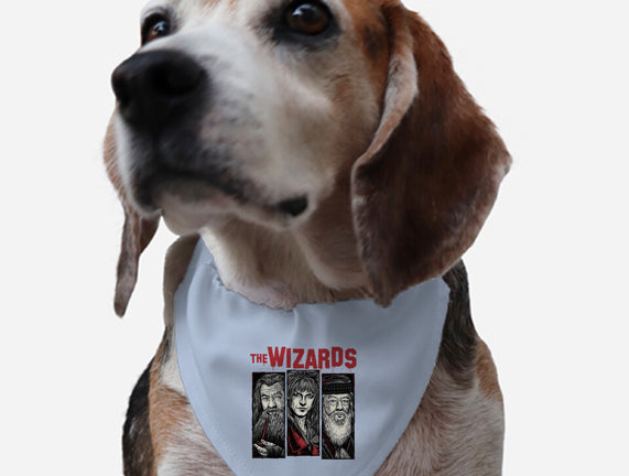 The Wizards