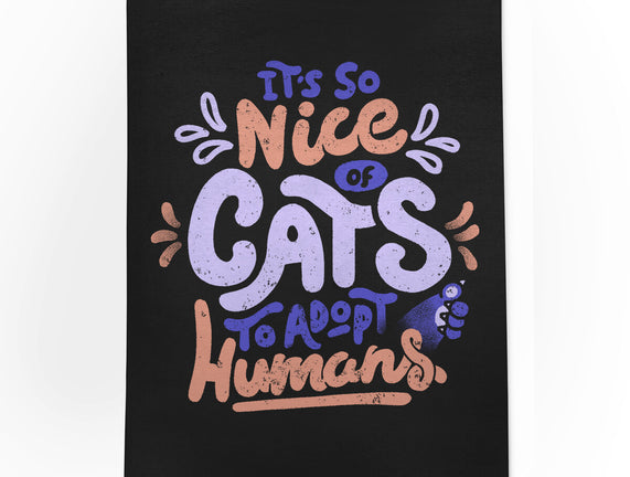 Cats Adopt Humans