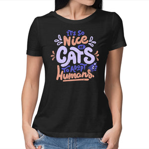 Cats Adopt Humans