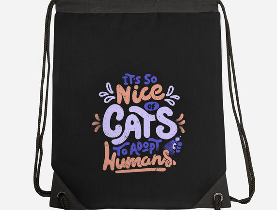 Cats Adopt Humans