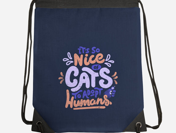 Cats Adopt Humans