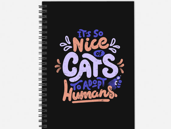 Cats Adopt Humans