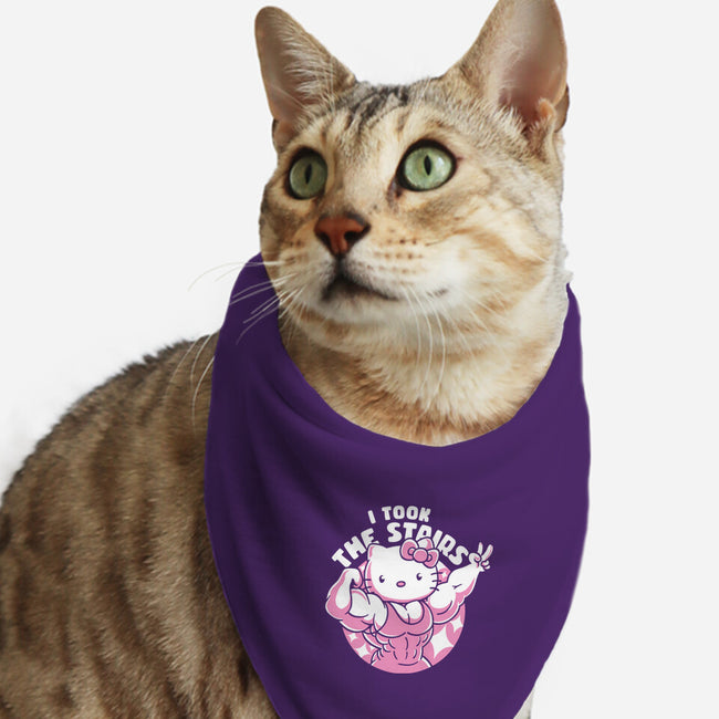 Hello Muscles-Cat-Bandana-Pet Collar-estudiofitas