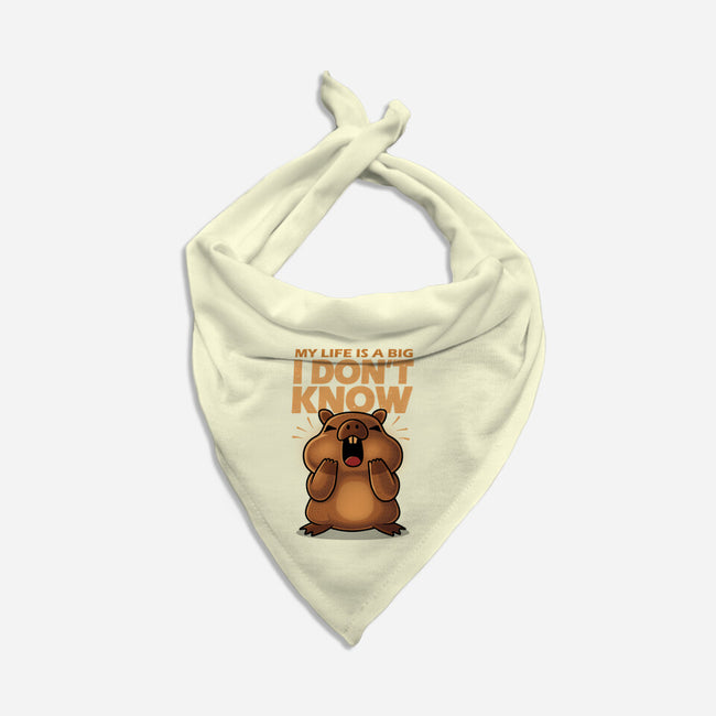 Confused Capybara-Cat-Bandana-Pet Collar-erion_designs