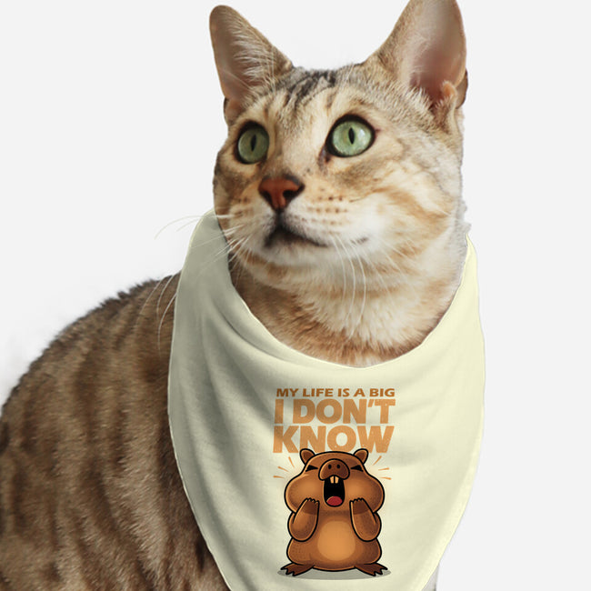 Confused Capybara-Cat-Bandana-Pet Collar-erion_designs